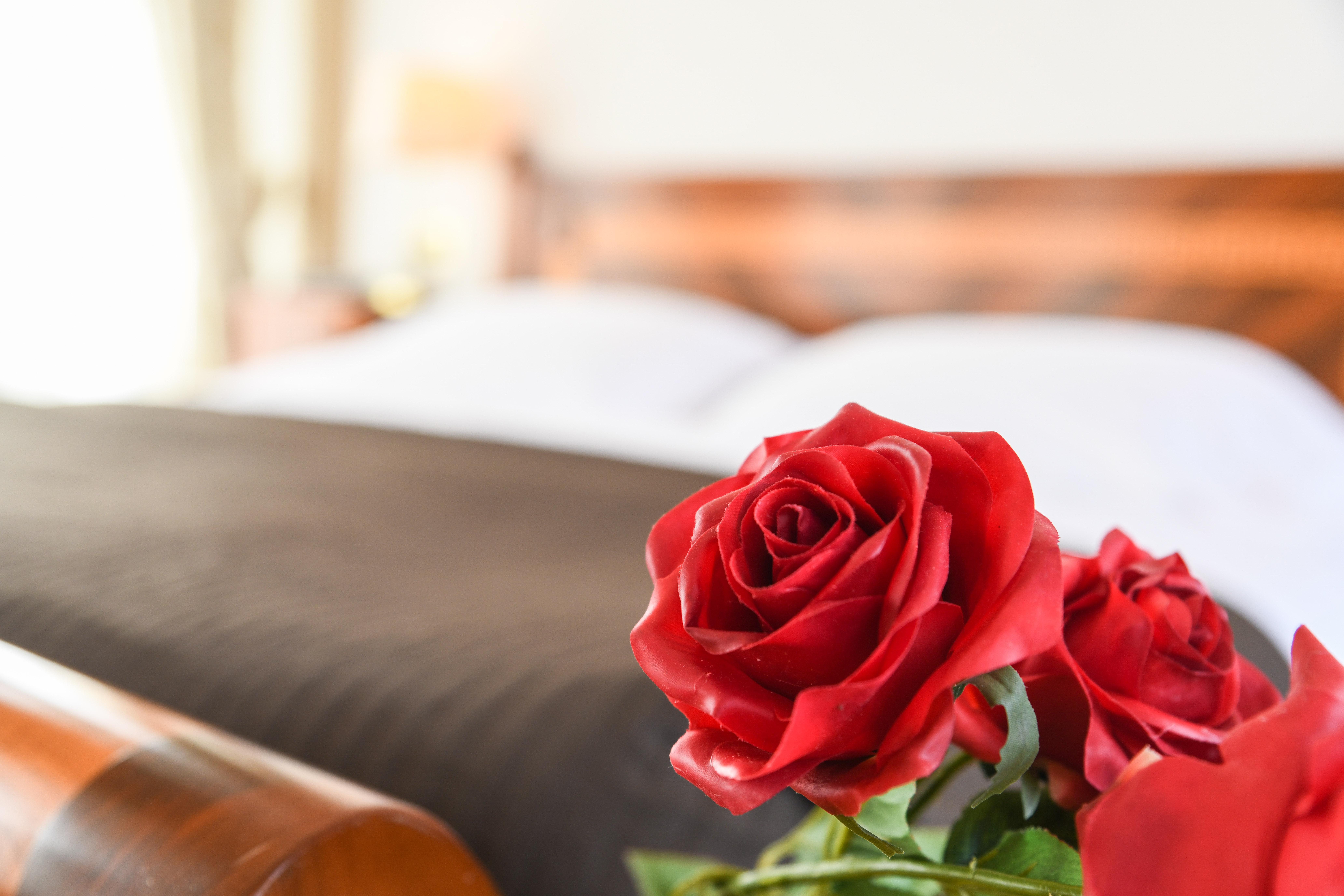 Vittoria Hotel 5*